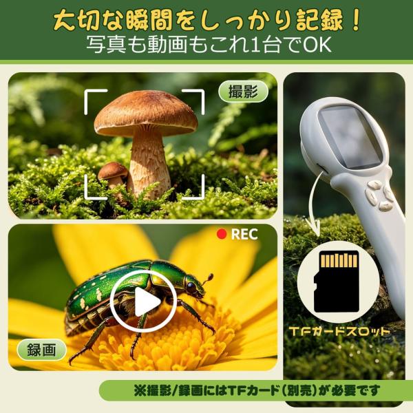 ������ �q�� HOLYFUN 2in1 �f�W�^�������� ���ዾ 2�C���` 500�{ �n���h�w���h �~�j������ �X�R�[�v PC�Ή� �Ȋw���� ���w������ �a�����v���[���g ���i�摜2