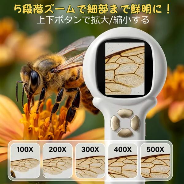������ �q�� HOLYFUN 2in1 �f�W�^�������� ���ዾ 2�C���` 500�{ �n���h�w���h �~�j������ �X�R�[�v PC�Ή� �Ȋw���� ���w������ �a�����v���[���g ���i�摜3