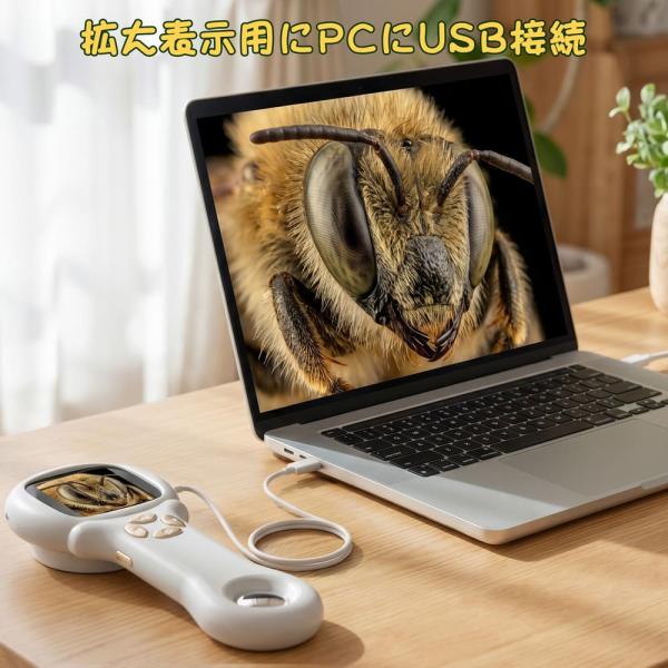 ������ �q�� HOLYFUN 2in1 �f�W�^�������� ���ዾ 2�C���` 500�{ �n���h�w���h �~�j������ �X�R�[�v PC�Ή� �Ȋw���� ���w������ �a�����v���[���g ���i�摜5