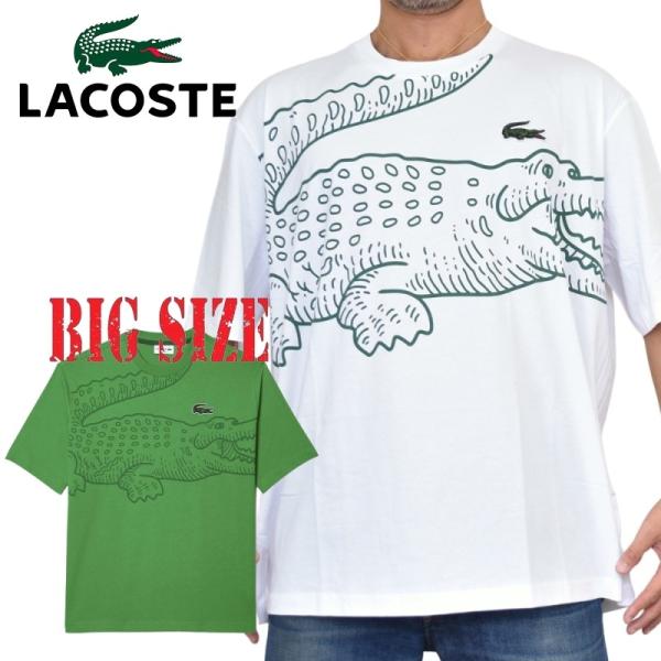 新品　LACOSTE ラコステ　ホワイト グリーン Tシャツ　日本Sサイズ pb5199-01_1.jpg