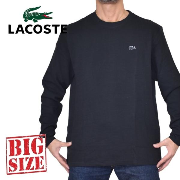 deff_lac-037-d