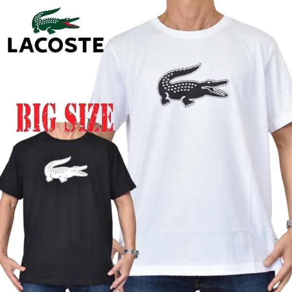 大きいサイズ メンズ Lacoste ラコステ スポーツ クルーネック 半袖Ｔシャツ ブラック 黒 ホワイト 白 REGULAR FIT ULTRA DRY XXL XXXL XXXXL