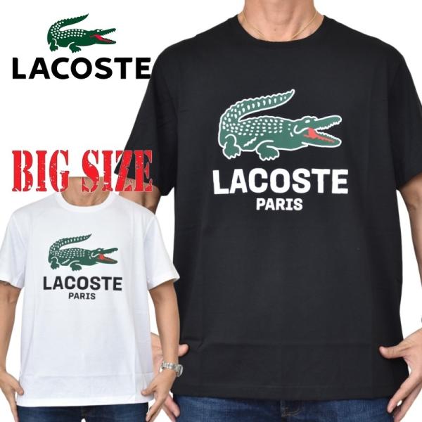 大きいサイズ メンズ Lacoste ラコステ スポーツ クルーネック 半袖Ｔシャツ ブラック 黒 ホワイト 白 REGULAR FIT XXL XXXL XXXXL
