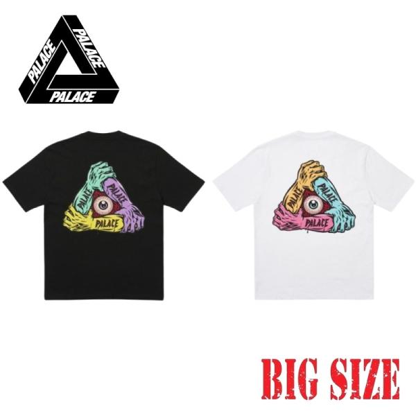 Palace x The North Face Purple Label H/S Logo T-shirt White