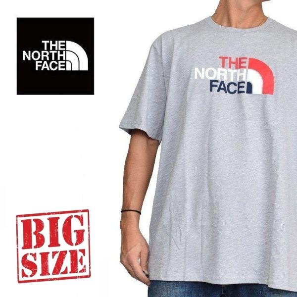 ザ・ノース・フェイス(THE NORTH FACE) 大きいサイズ メンズTシャツ