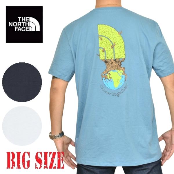 SALE 大きいサイズ メンズ ノースフェイス THE NORTH FACE 半袖 Ｔシャツ プリント S/S CROWN SHYNESS TEE  黒 ブラック USAモデル XL XXL XXXL