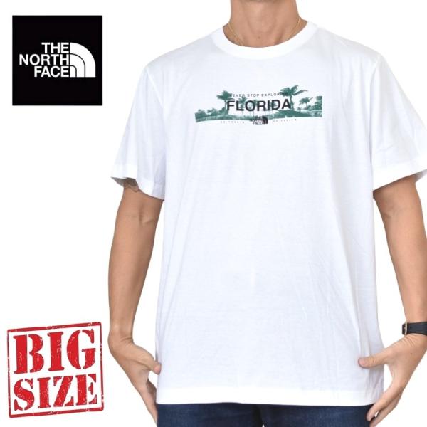 大きいサイズ メンズ ノースフェイス THE NORTH FACE 半袖 Ｔシャツ EVOLUTION STATE S/S TEE  USAモデル XL XXL
