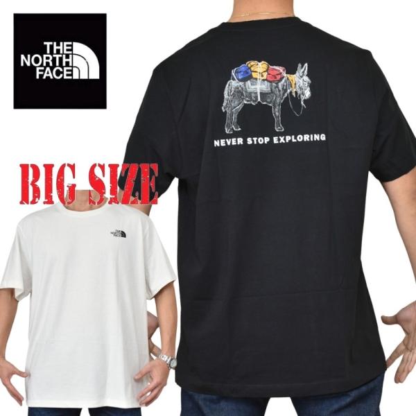 大きいサイズ メンズ ノースフェイス THE NORTH FACE 半袖 Ｔシャツ プリント Evolution Pack Short-Sleeve Tee Graphic XL XXL XXXL