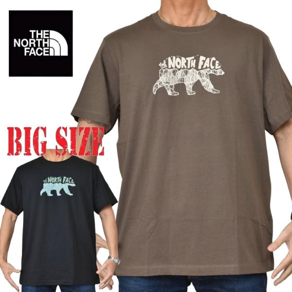 大きいサイズ メンズ ノースフェイス THE NORTH FACE 半袖 Ｔシャツ プリント USAモデル EVO TNF Bear Regular Short-Sleeve Tee XL XXL XXXL