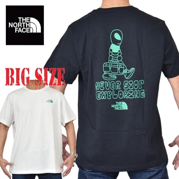 大きいサイズ メンズ ノースフェイス THE NORTH FACE 半袖 Ｔシャツ プリント USAモデル Celestial Drift Regular Short-Sleeve Tee XL XXL XXXL