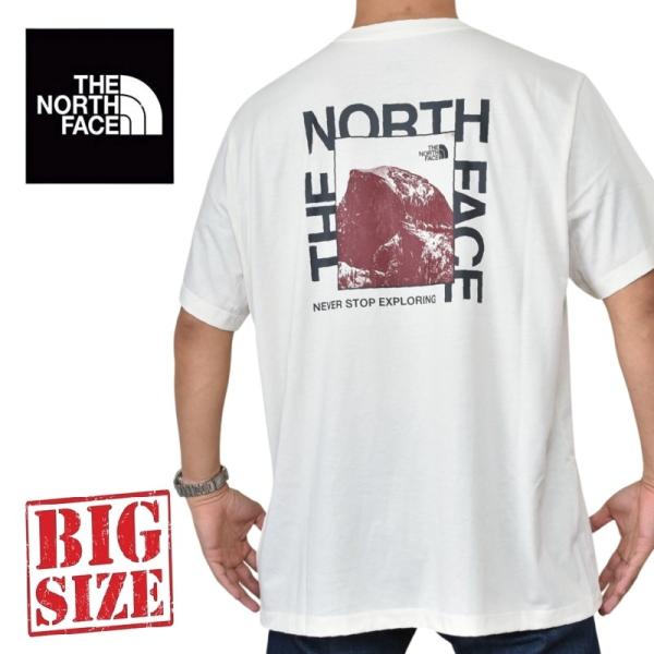 大きいサイズ メンズ ノースフェイス THE NORTH FACE 半袖 Ｔシャツ プリント USAモデル HALF DOME PICTURE REG SS TEE XL XXL XXXL