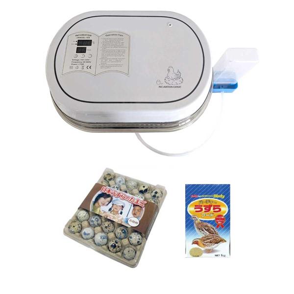 うずらや]うずらの有精卵・小型自動孵卵器（孵化器）・餌 3点セット