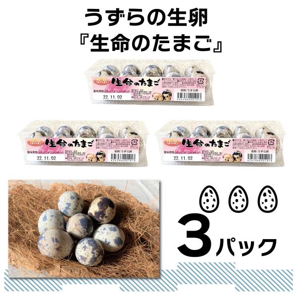 [うずらや]食用 豊橋産 うずらの卵 生命の生卵 10個入り 3パック 産地直送 新鮮 uzura