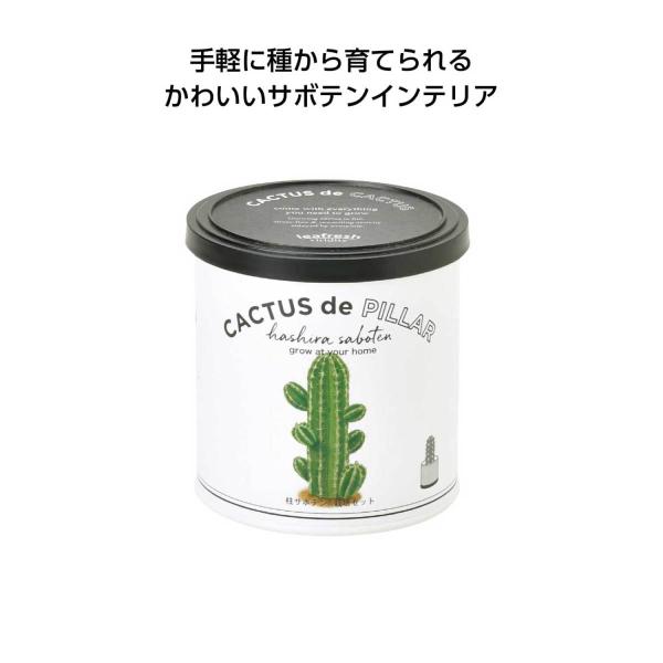 柱サボテン 観葉植物の人気商品 通販 価格比較 価格 Com