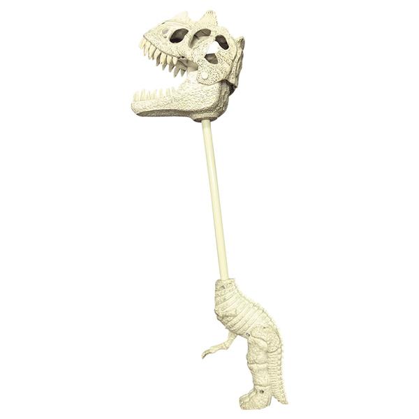 化石恐竜 ガブット 1号 1ヶから販売 Y N3549 デライトベース 通販 Yahoo ショッピング