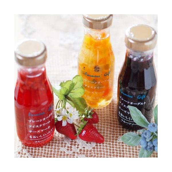 フルーツソース3本セット ギフト ヨーグルト パンケーキ 御祝 記念日 引出物 内祝 軽井沢 お土産 プレゼント