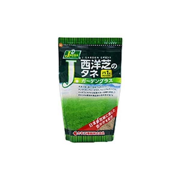 カネコ種苗 西洋芝のタネ 503 J ガーデングラス 1l Maxim Tours Com