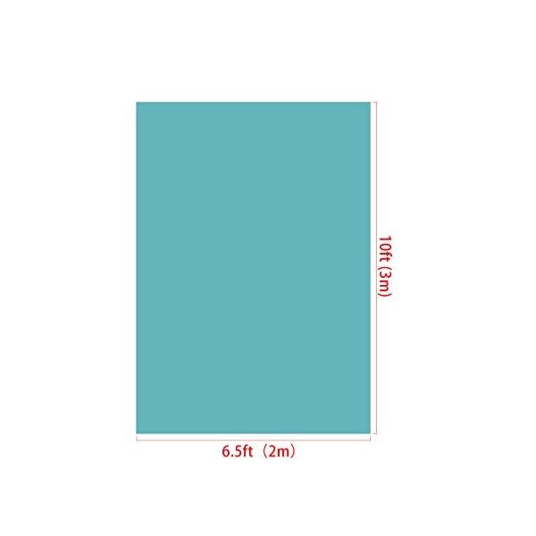 Kate 2x3m 緑の背景 グリーンの背景 芸術の肖像画の背景 商い 撮影 