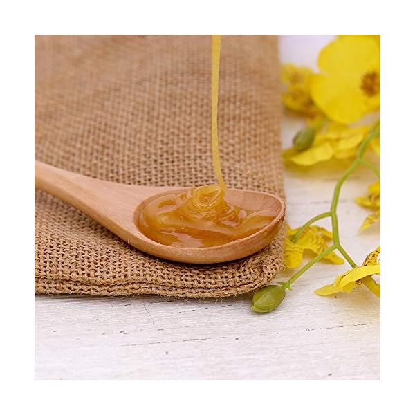 エアボーン マヌカハニー お金を節約 250g 70 ニュージーランド産 天然 蜂蜜 濃厚 はちみつ