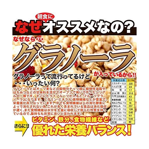 天然生活 フルーツグラノーラ 豆乳おからクッキー 1kg 訳あり 豆乳 おから クッキー 信憑 グラノーラ