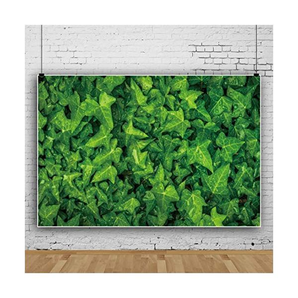 Qinunipoto 背景紙 撮影 背景 写真 布背景 ドール 背景布 背景ボード 緑の葉