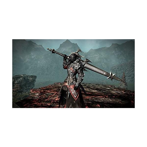 ファイナルファンタジーxiv 蒼天のイシュガルド 日時指定 Ps4