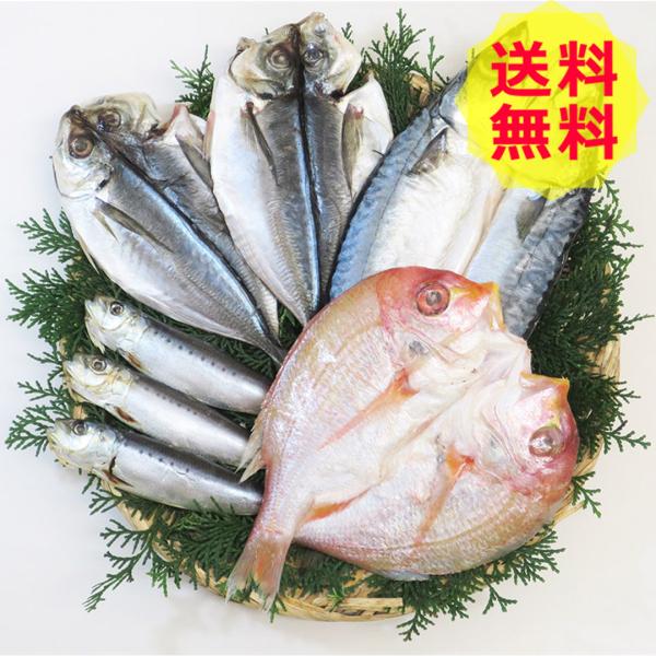 九州 一夜干し 4種セット 魚介類、海鮮類 S-50 shk-0130296