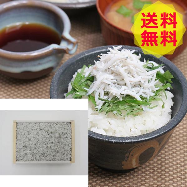 a̎R IB ܂炷 ށACN MR-3 300g shk-0130305O Hi Hו ~Mtg 