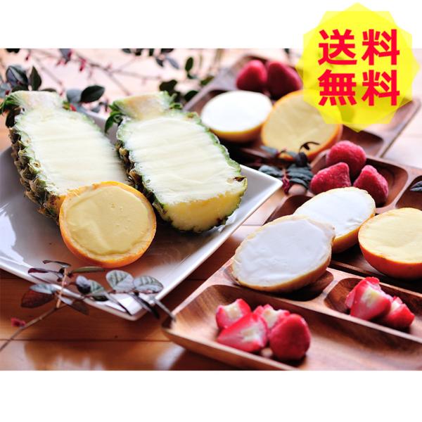 4܂邲Ɖʎ ACXl ACXN[A\tgN[ FDF-55 4 v18 shk-1780007Hi Hו 