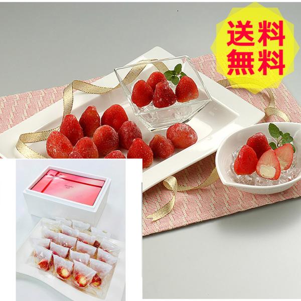 䕂̕Δ 18 ACXN[A\tgN[ S-3 shk-1780020O Hi Hו ~Mtg 