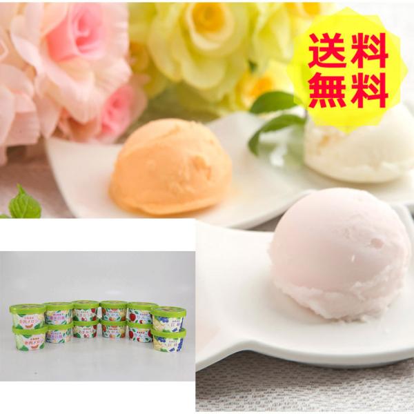 ʎ̕ւ Yt[cACX ACXN[A\tgN[ EG-A12 6 v12 shk-3530158Hi Hו 