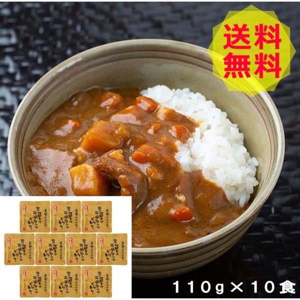  Oc { јả傱ƃr[tJ[ 10H y؁AJ[AggJ[ SD-10 shk-9200099Hi Hו 