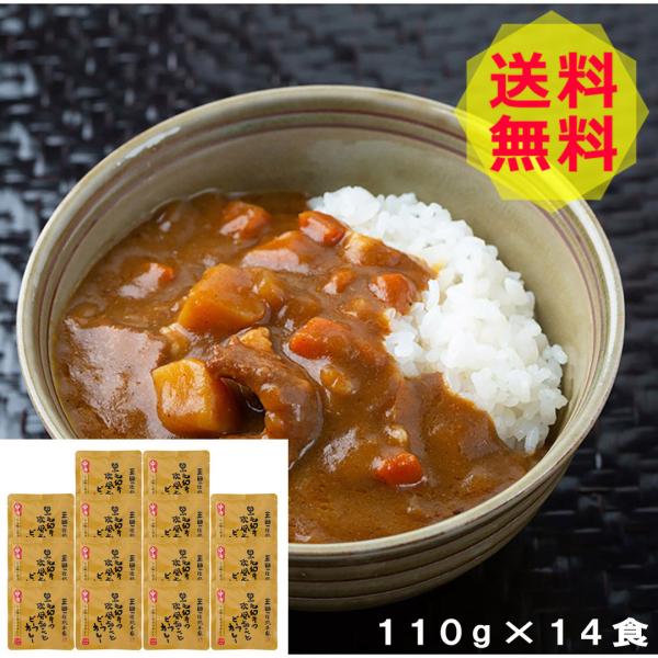  Oc { јả傱ƃr[tJ[ 14H y؁AJ[AggJ[ SD-14 shk-9200101Hi Hו 