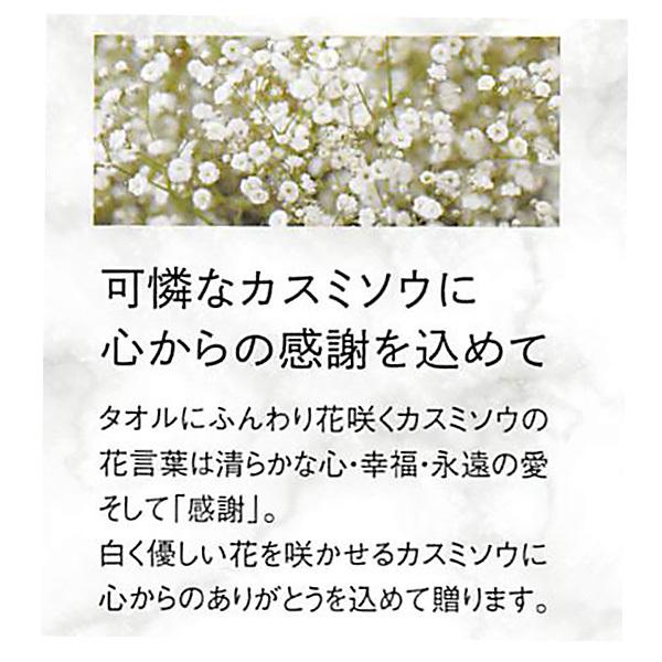 引っ越し 挨拶 結婚 出産 内祝い 快気祝い タオル ギフト 今治かのん バスタオル ハンドタオル Td Tds ギフトのデリバリーディライト 通販 Yahoo ショッピング