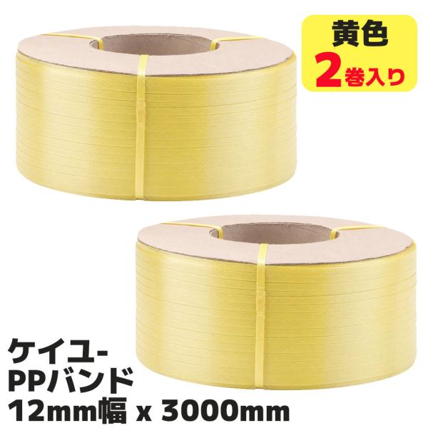 �P�C���[�� 2���Z�b�g ���F PP�o���h( ��12mm �~ ���� 3000m ) ��������@�p  ���i��  �ו���h�~ �o���h �����@ �����P�C���[ ���i�摜