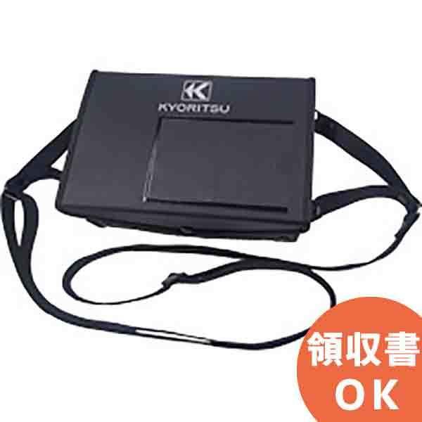 MODEL9186A(MODEL9186 pi) dCv {̎[P[X