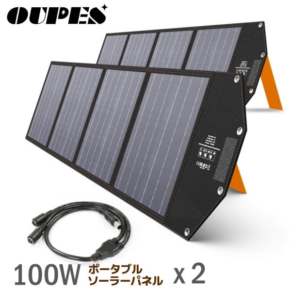 FlexSolar ソーラーパネル 100W ソーラーチャージャー 折りたたみ DC