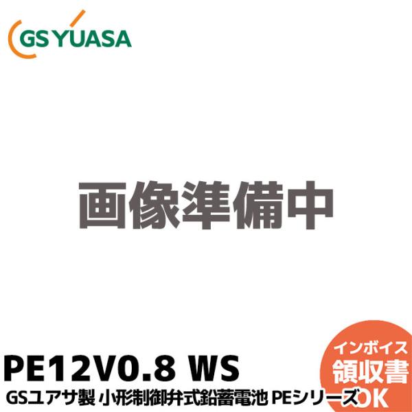 PE12V0.8 WS GSユアサ製 小形制御弁式鉛蓄電池 PEシリーズ : 商材館