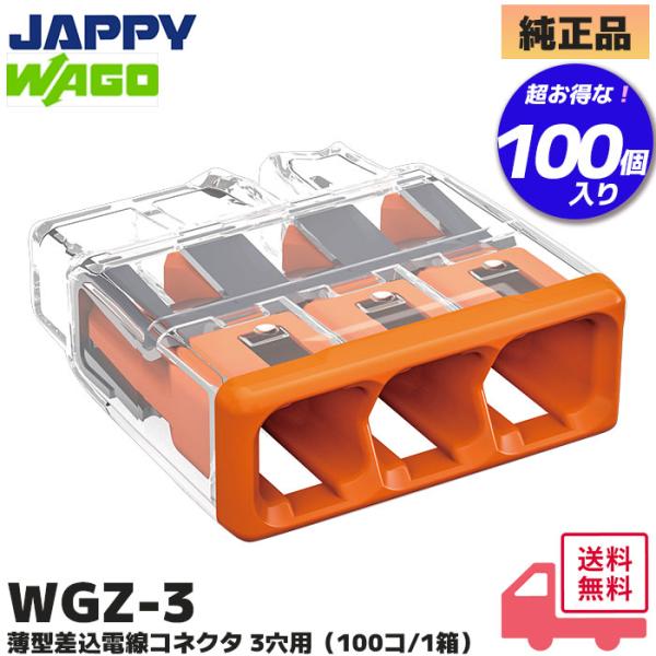 denchiya_wgz3