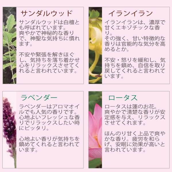 Larasati お香 コーン型 10ケ 1箱 ララサティ アロマ E 0110 でんでん堂ヤフー店 通販 Yahoo ショッピング