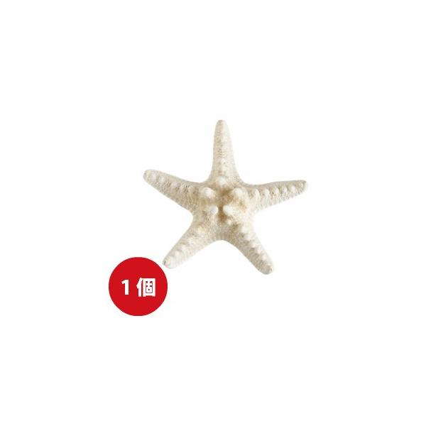 } F 1 Ruqgf 1 X^[tBbV qgf fBXv[ CeA G 