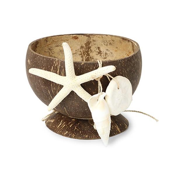 VFoXPbg  RRicgC } W 1 RRic X^[tBbV qgf Lk VF fBXv[ CeAG AWAG