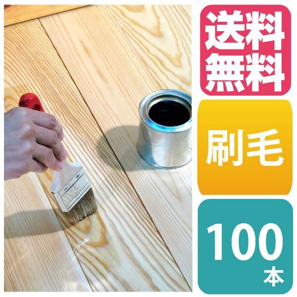  nP h ͂ uV 50mm 100{