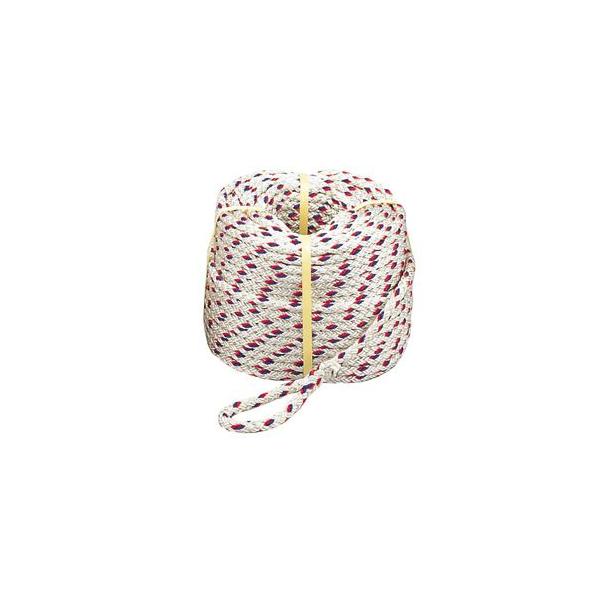 vCg egNX[v 8{ł (dEB`p) 12 50m R-1205T8