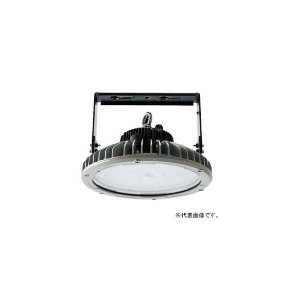 昼白色 ニッケンハードウェア 高天井LED投光器 屋外・屋内兼用 水銀灯