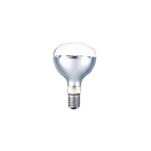 岩崎電気 ケース販売 10個セット 屋外投光用アイランプ 散光形 220V 
