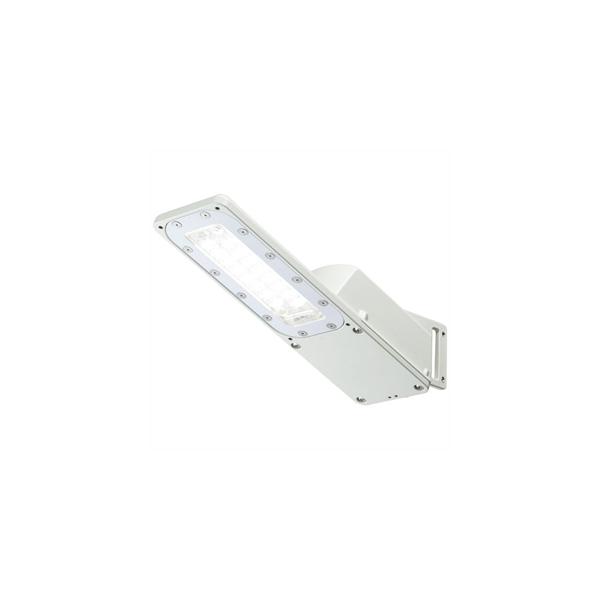 岩崎電気 LED防犯灯 ≪LEDioc STREET≫ 10VA 重耐塩仕様 昼白色 電源