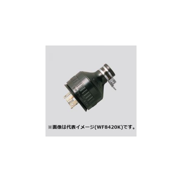 pi\jbN h|3PSLbv 60A 250V ubN WF8360