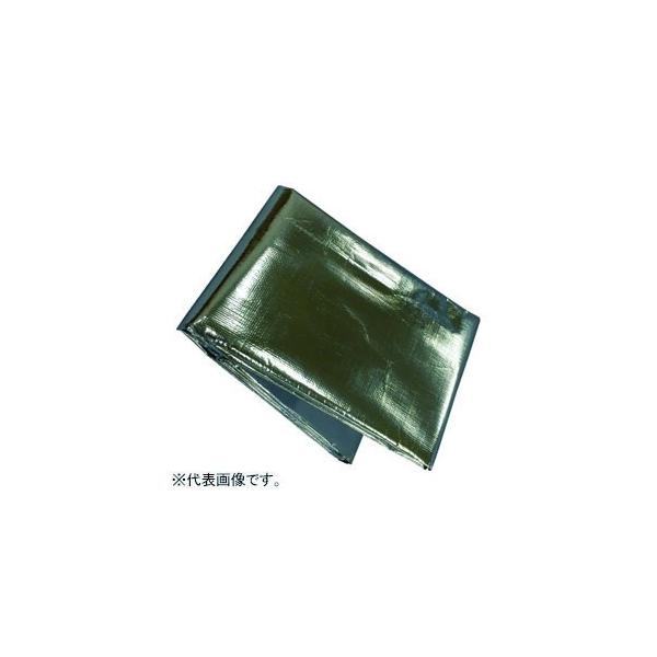 ^JCN N[V[g #3000 ۉEۗ^Cv 0.25mm ڈ̑傫6 2.7×3.6m ng14t B-18