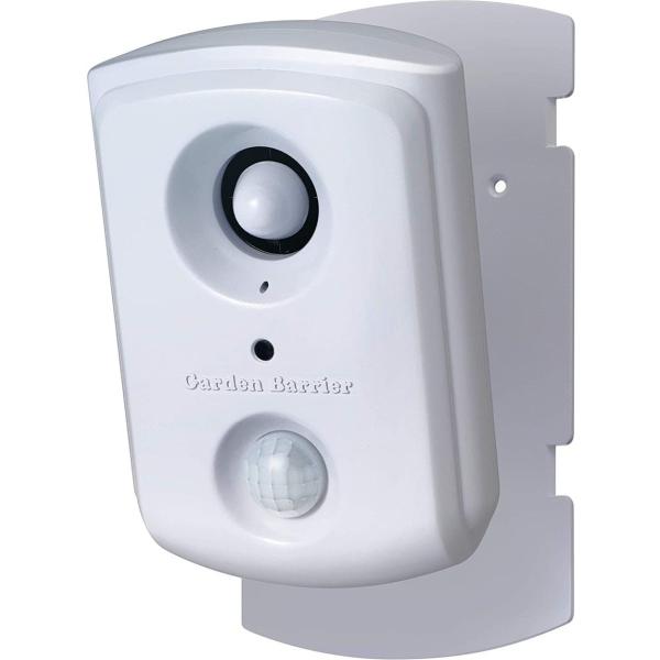 ^JCN L K[foAX|bg g [d L悯 GDXSP